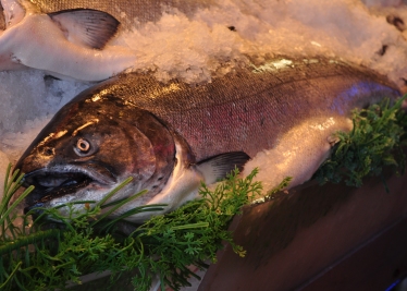 fresh king salmon